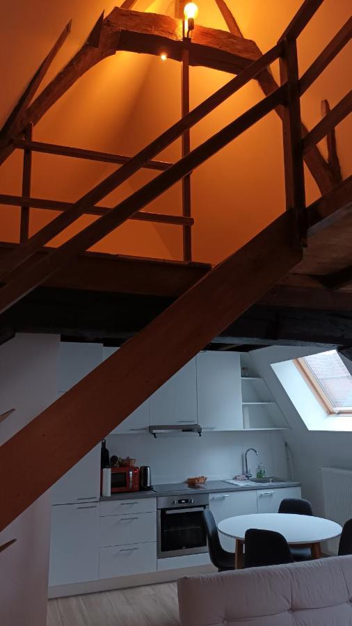 Appartement Al In Den Aap Gelogeerd? à Malines Extérieur photo