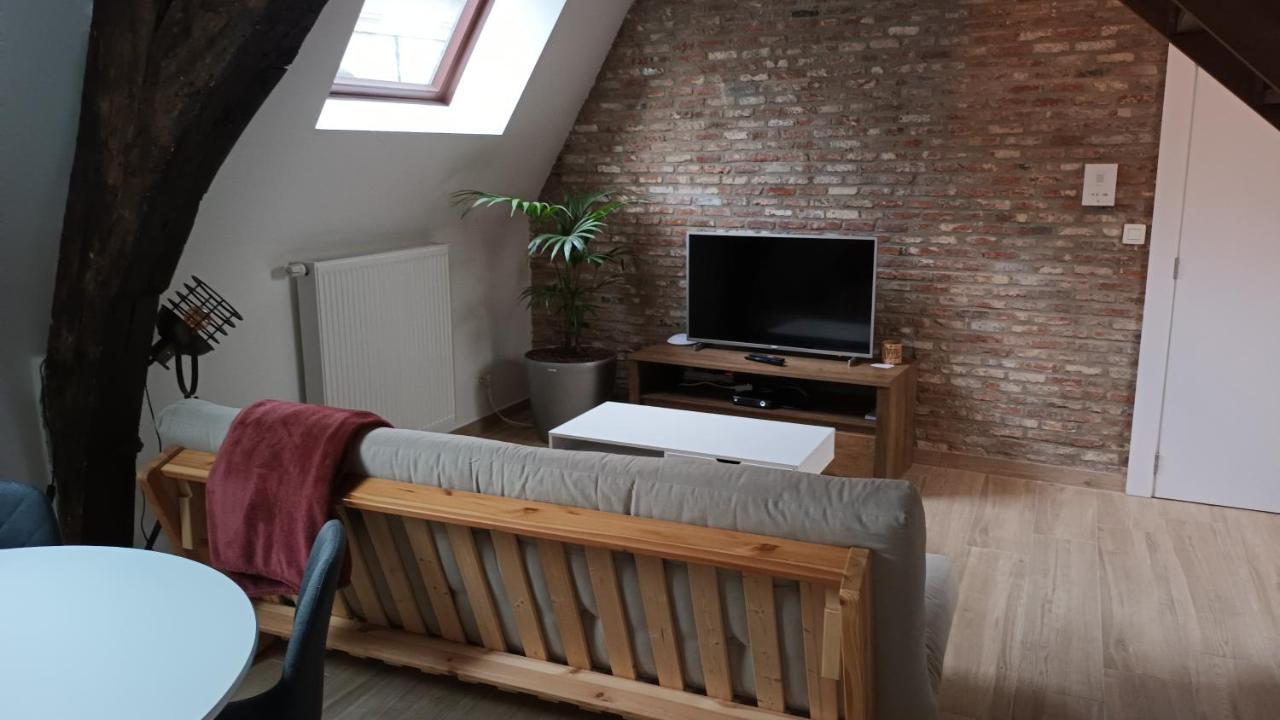 Appartement Al In Den Aap Gelogeerd? à Malines Extérieur photo
